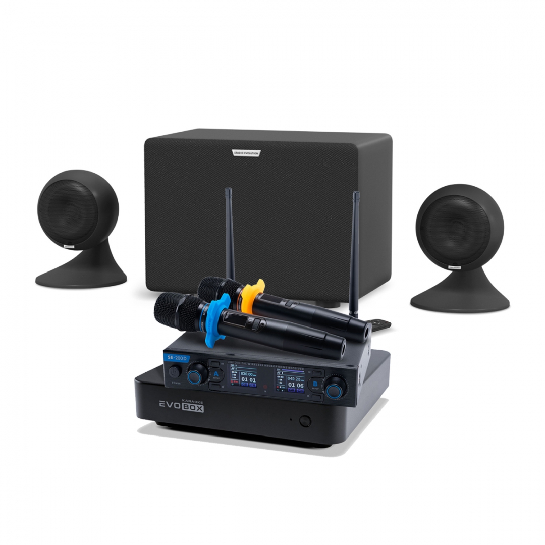 караоке-комплект EVOBOX + EvoSound Sphere 2.1 в Кропоткине