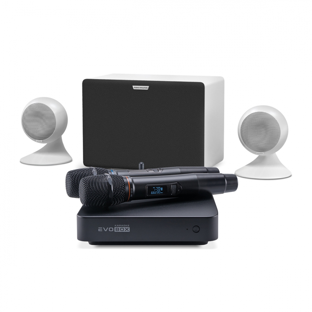 караоке-комплект EVOBOX Classic + EvoSound Sphere 2.1 в Кропоткине