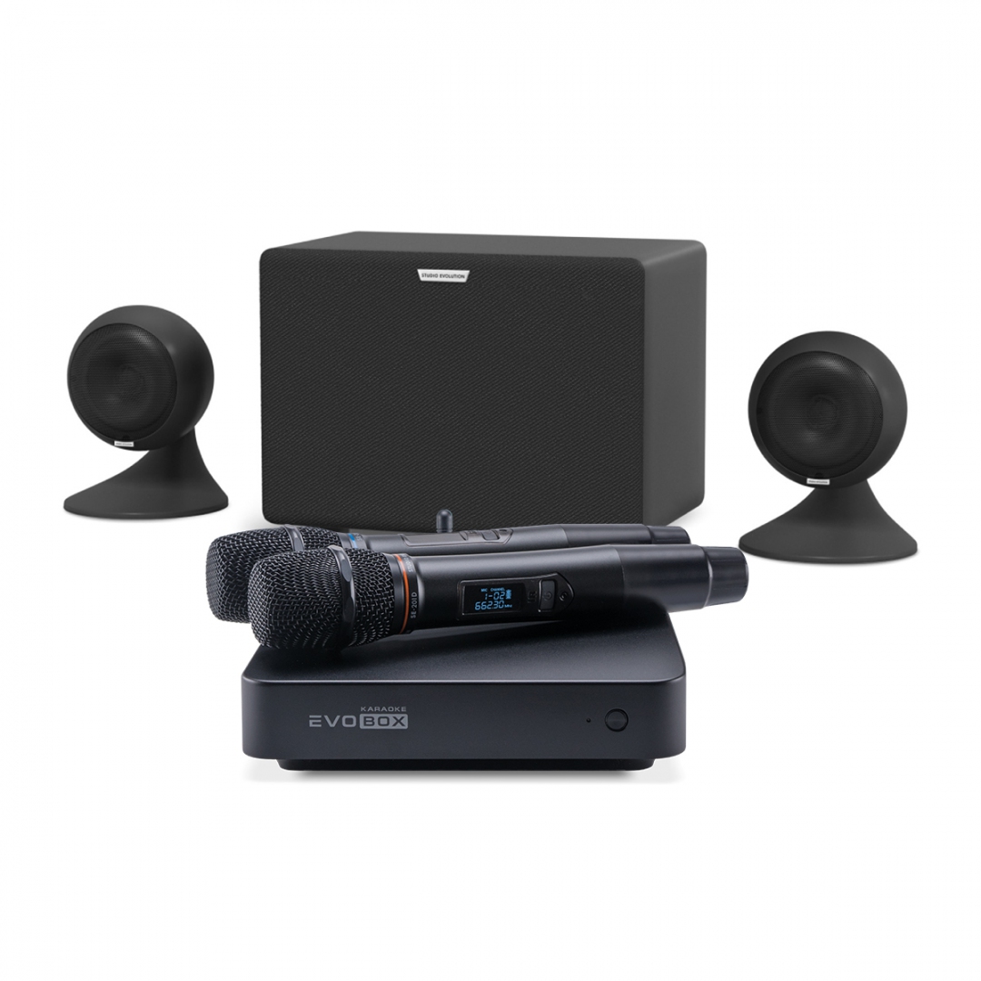 караоке-комплект EVOBOX Plus + EvoSound Sphere 2.1 в Кропоткине