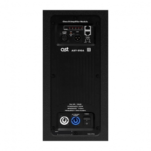 Активная акустическая система AST-310A в Кропоткине